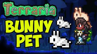 Terraria how to get bunny pet (2024) (NEW bunny) (WITHOUT CHEATS and HeroEdition)