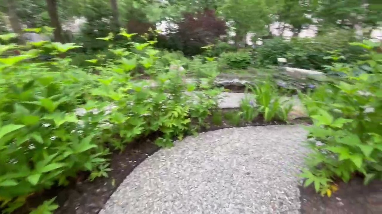 lily kwong: gardens of renewal in madison square park