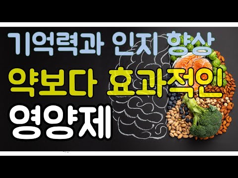 기억력, 인지작용, 치매예방에 효과적인 뇌 영양제 총정리, 이거 하나면 끝. [코로나 건강정보]