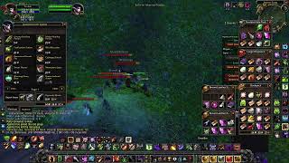 sod warlock lvling & wpvp