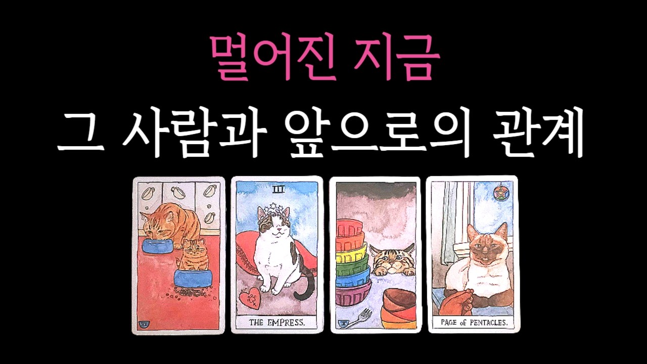 [타로🔮] 우리 관계는 앞으로 어떻게 될까?💘 관계흐름, 속마음 (재회, 짝사랑, 썸, 커플, 단절, 이별)(희망고문❌️)