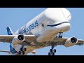 The Size is Really Crazy! Largest Planes Ever Built