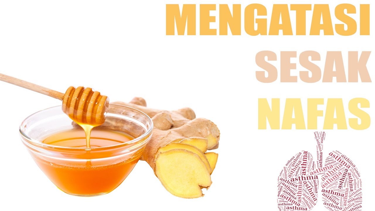 Obat Herbal Sesak Nafas dari Jahe dan Madu YouTube