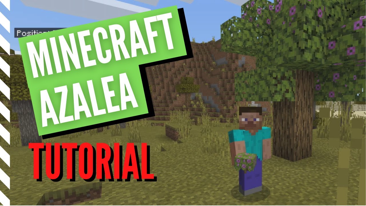 How to Get AZALEA in Minecraft (And What It's Used For) YouTube