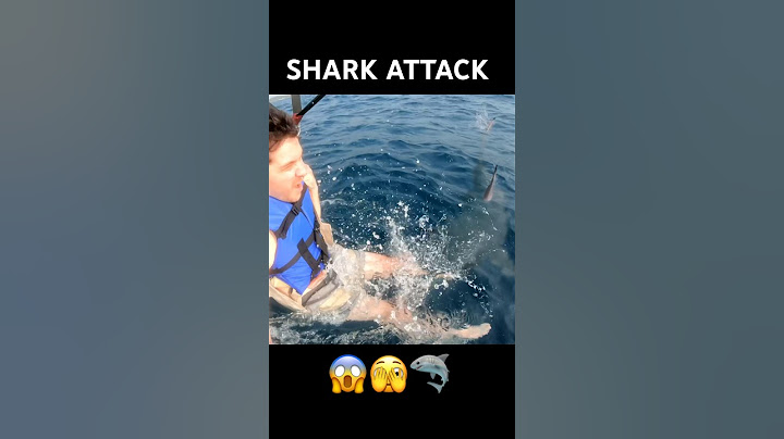 SHARK ATTACK! (VFX)