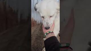 AQPfoWwoQq6FWiee  kyUZ6EhEnl8YQCpYSbPZEzA tz2u1f8GvzHN5aADR7pc58 cCj qznOQu76pxp1OgzSHcS6XVMF L2nwVJ