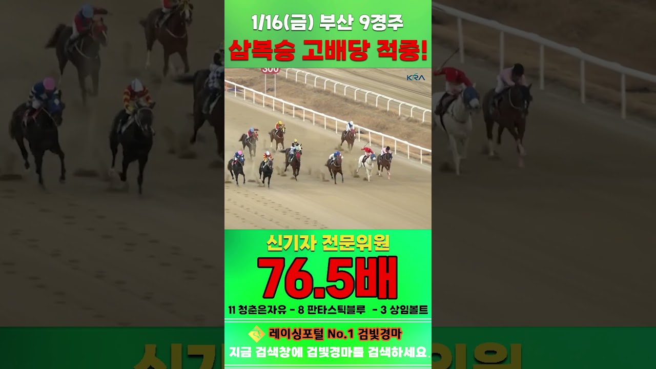 [부산 경마] 1월 16일 금요 9경주 신기자 전문위원 삼복승 고배당 적중 #하이라이트 #automobile #한국마사회 #horse #경마 #게임