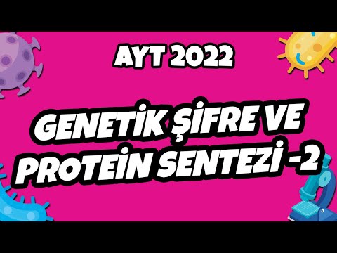 AYT Biyoloji - Genetik Şifre ve Protein Sentezi - 2 | AYT Biyoloji 2022 #hedefekoş