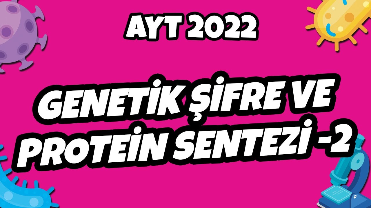 AYT Biyoloji - Genetik Şifre ve Protein Sentezi - 2 | AYT Biyoloji 2022 #hedefekoş