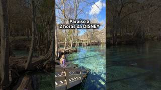 PARAÍSO A 2 HORAS DA DISNEY #shorts
