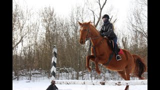 Верховая езда. Это весело ! )