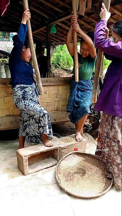 MENUMBUK PADI TRADISIONAL ❗