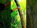 আমি আসলেই বোকা #sad #emotional #shorts #bangla