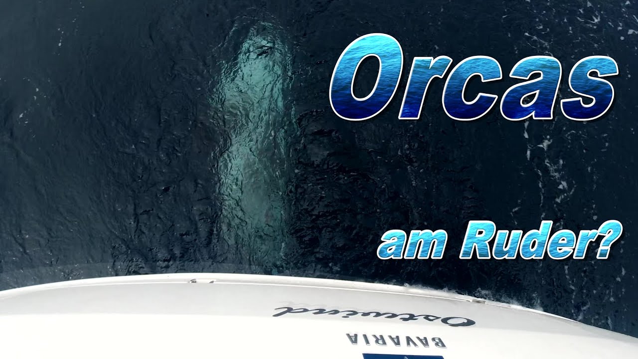 ⁣Segeln - von Inverness über die Nordsee⛵ 131