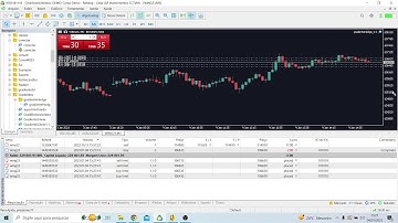 Retomando os projetos, gradiente linear funcional para conta hedge e netting simultâneamente
