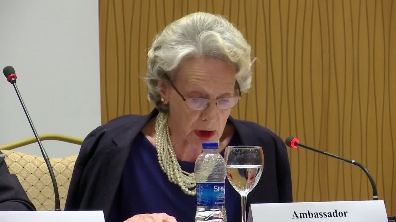 OSCE Observers on Turkey elections: "We were informed of the detention of 300 party activists"