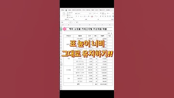 표 높이 너비 그대로 붙여넣기 #엑셀초보 #excel #엑셀팁 #엑셀강의 #업무스킬