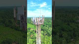 Tower Above the Jungle 🌴📡 | Cinematic Drone View #shorts  #dji #cinematic #drone
