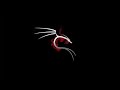 Kali Nethunter Rootless & Kali Linux Setup Guide