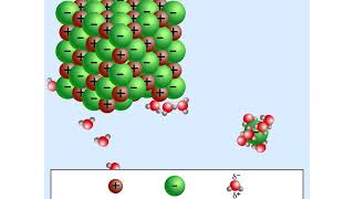 Solution Formation Animation