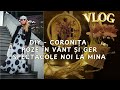 Vlog | Diy - Coronița nouă pentru ușă | poze în Otopeni | spectacole noi la Mina