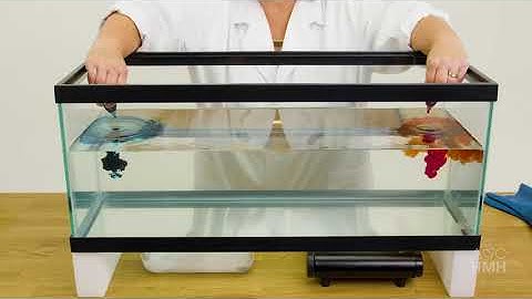 Storm Tank | 90-Second Science