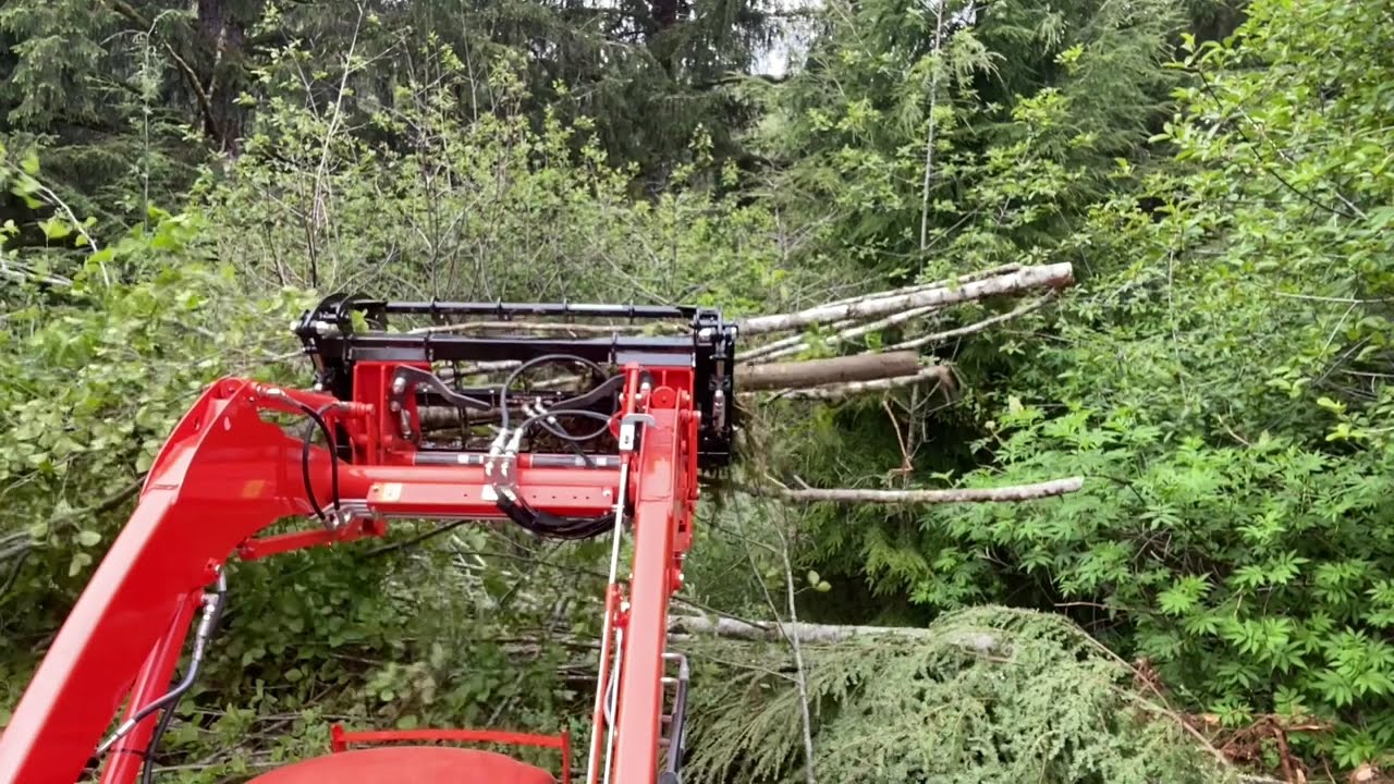 Wicked 55” grapple clearing trees YouTube