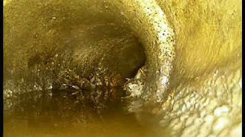 Report 18148 Sewer Inspection Video