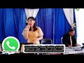 Thank you for loving me cover by jasa organ tunggal go entertainment jakarta 081298779878