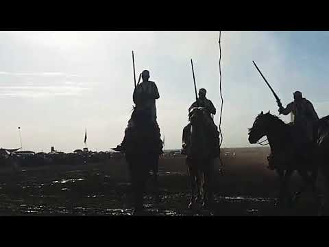 حادث سقوط خيال اثناء موسم التبوريدة