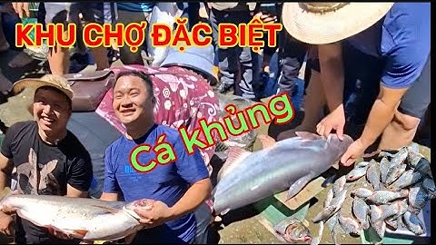 Cảnh tượng buôn bán CÁ tấp nập nhộn nhịp ngay tại chân đập THủy ĐIỆN,1 năm chỉ có 1,2 lần
