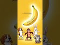 Magic Banana Ka Secret 🍌😂 | Funny Animal Cartoon Shorts | AI Cartoon#AICartoon #FunnyAnimals #fyp