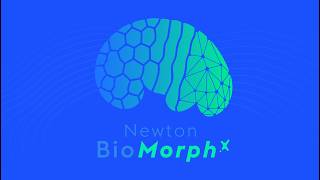 NewtonBioMorphX: Simulating Tissue Mechanics — The Tutorial