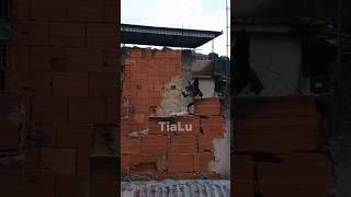 t Na Hora Do Papa shorts bolofofo