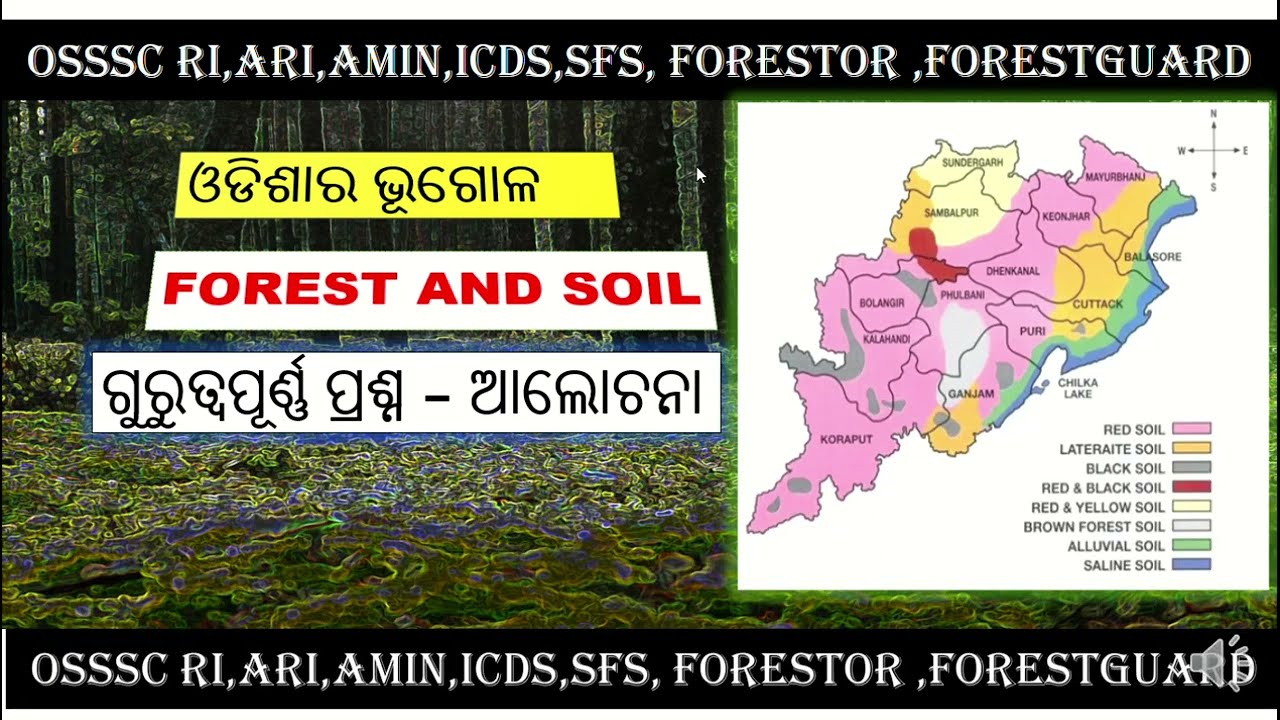 Odisha Gk forest &Soils RI ARI AMIN ICDS SFS 