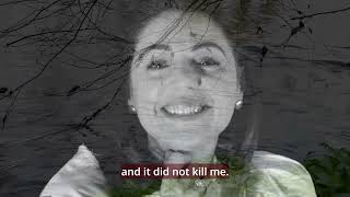 Shakespeare's Last Walk