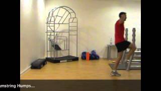 Hamstring Support
