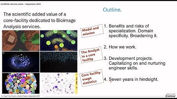 The scientific added value of a core-facility dedicated to Bioimage Analysis services.