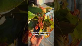 Three Problems You Will Encounter Sooner Or Later