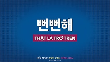 Học tiếng Hàn 2021 | MỖI NGÀY MỘT CÂU TIẾNG HÀN [뻔뻔해]