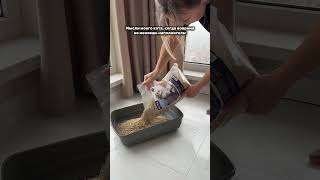 Наполнитель тофу на ВБ #WW357397 (вставляй с ww) и жизнь прекрасна #cat #котики