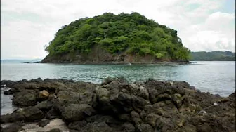 vereda tropical Rigo Tovar vereda tropical Rigo Tovar