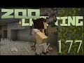 Caving Considerations 🐘 Zoo Crafting: Episode #177 [Zoocast]