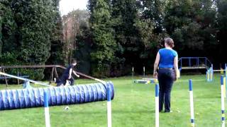 KSHAC agility clubkampioenschap 2010 063.avi