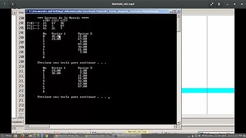 Matrices en Lenguaje C - P04