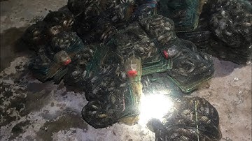 Nghề Bẫy Cua Đồng/ Cua Đồng/ Thăng Bình Quãng Nam/p1