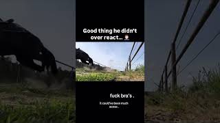 Stay Alert: Navigating Chaos in Today's World #SafetyTips #StayPrepared