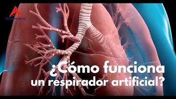 Cómo funciona un respirador artificial