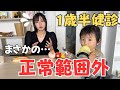 【1歳半健診】まさかの基準値外…指差し/発語/遊びに不安の母と1歳6ヶ月男の子ができること