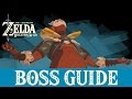 Breath of the Wild — How to Defeat Master Kohga